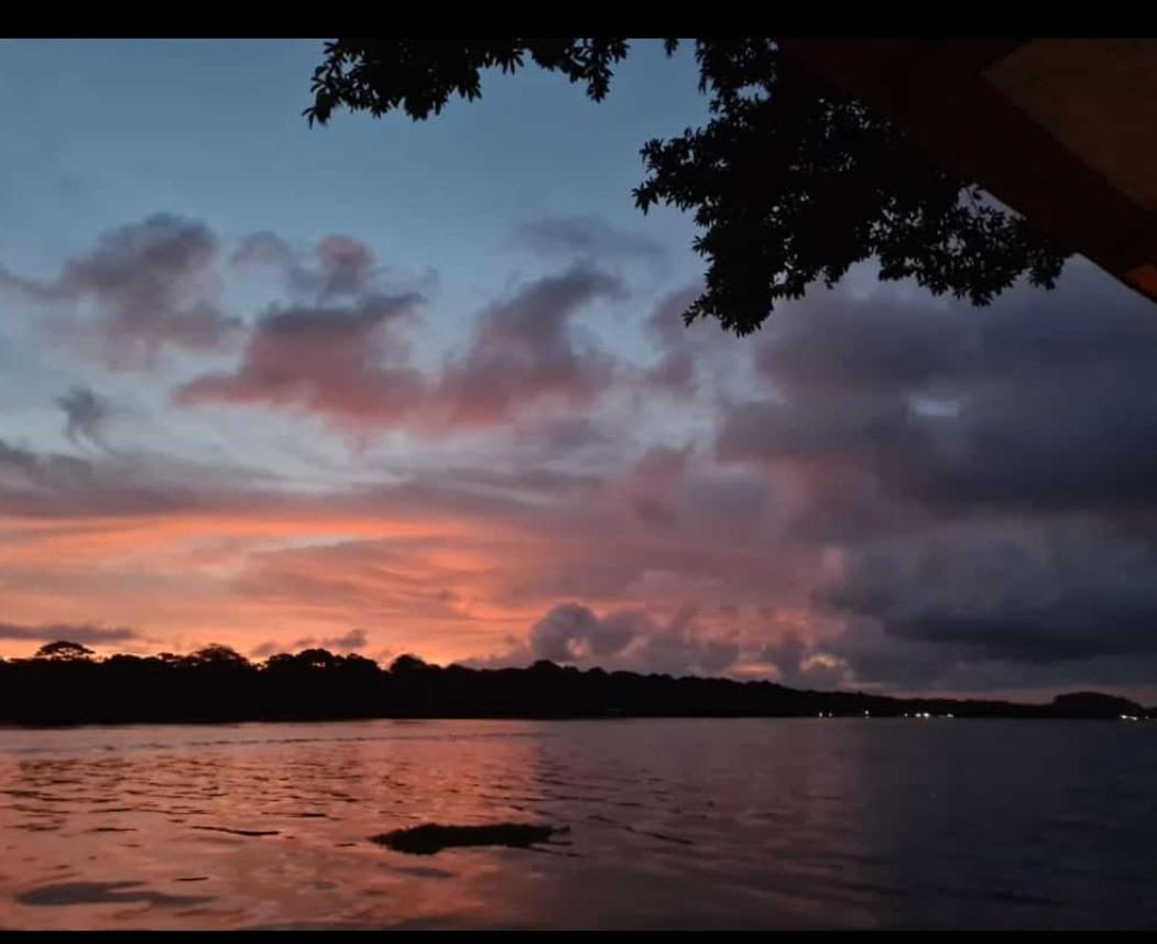 Casa Marbella Villa Tortuguero Dış mekan fotoğraf