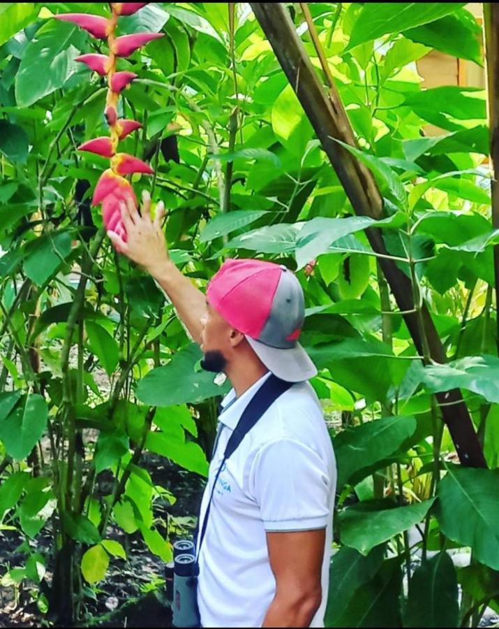 Casa Marbella Villa Tortuguero Dış mekan fotoğraf