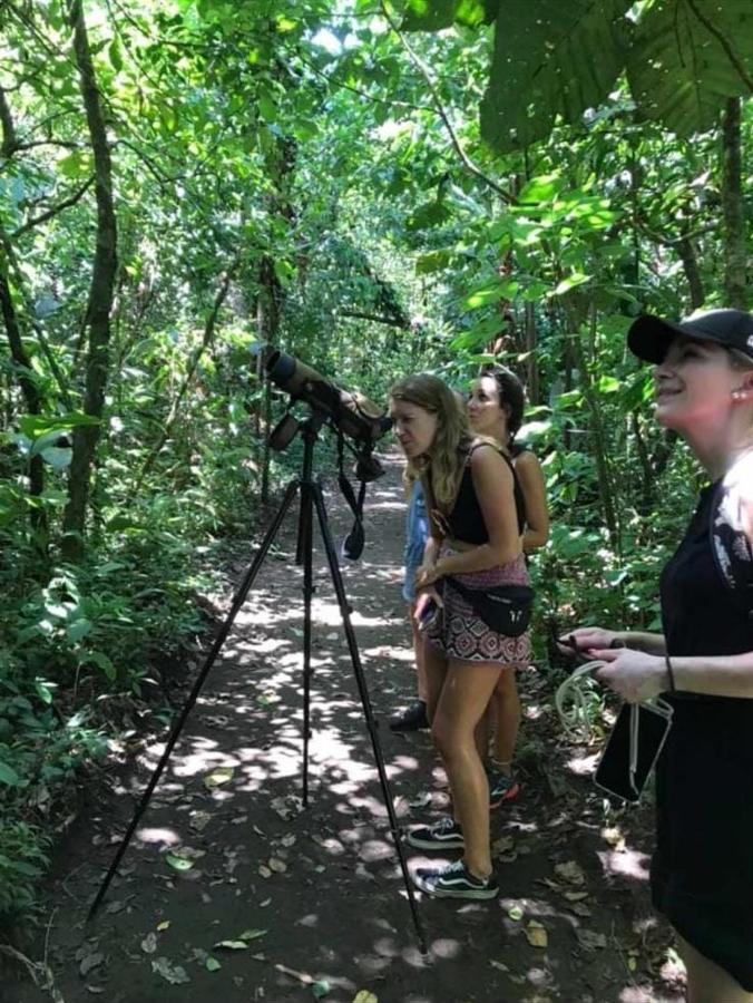 Casa Marbella Villa Tortuguero Dış mekan fotoğraf