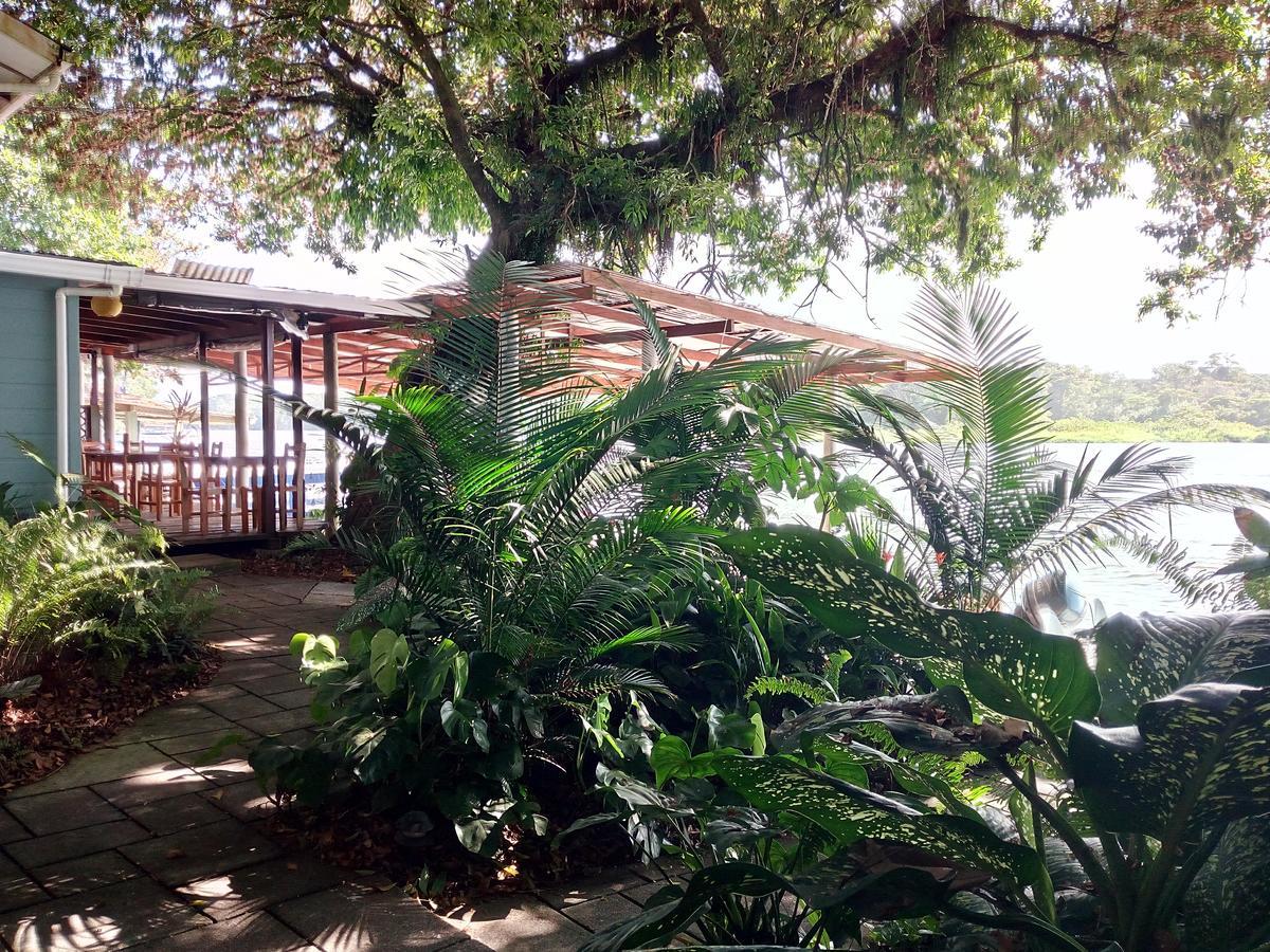 Casa Marbella Villa Tortuguero Dış mekan fotoğraf